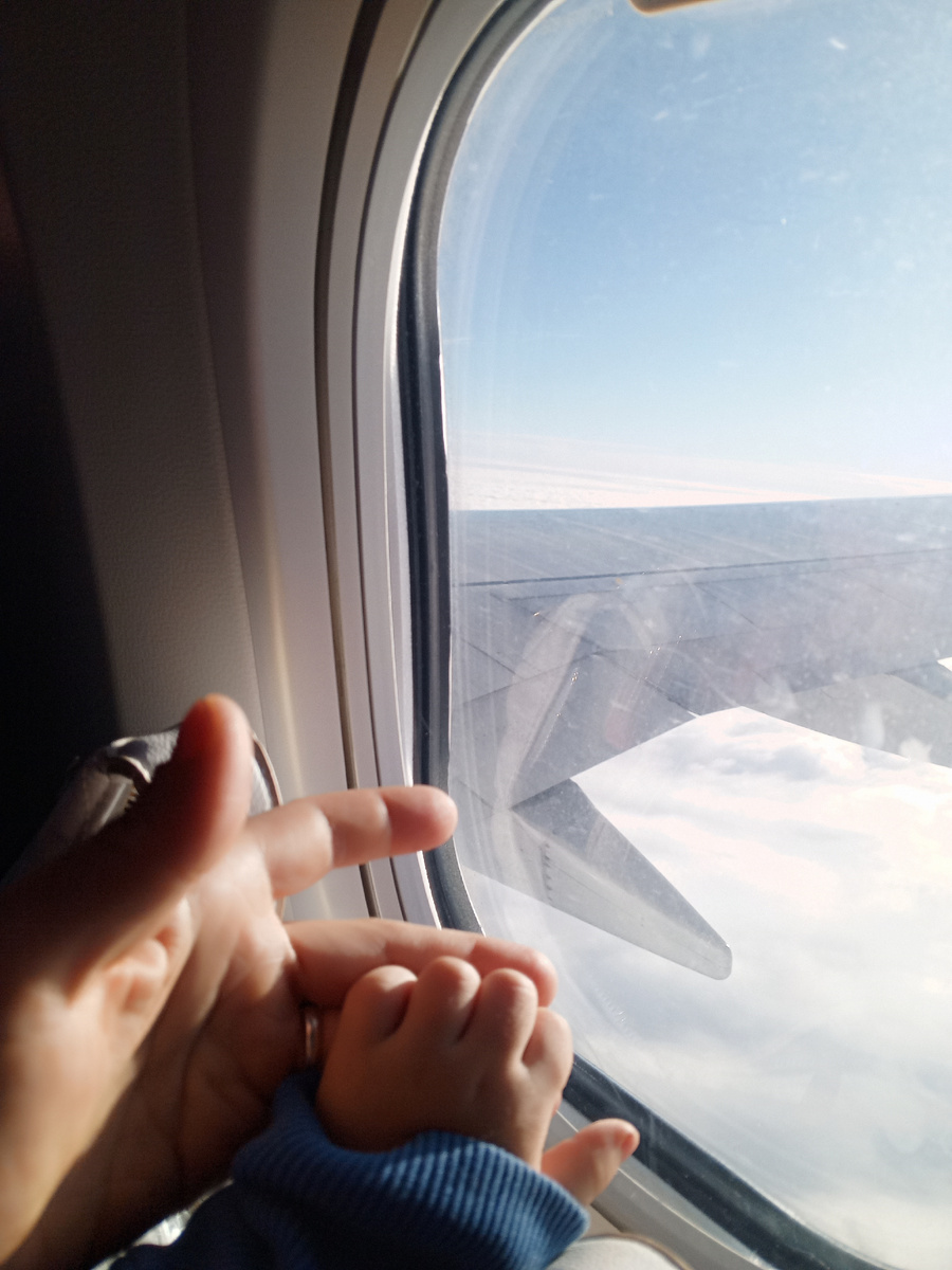 Из Саратова в Адлер