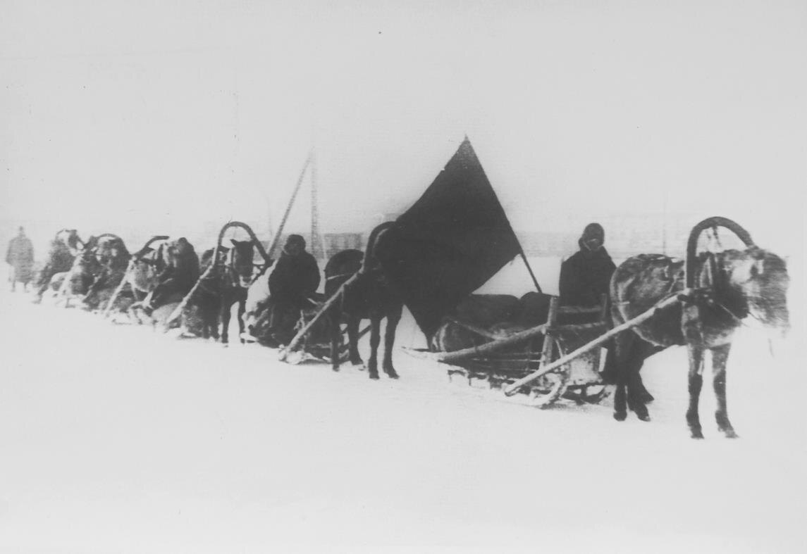 Фото взято из открытых источников