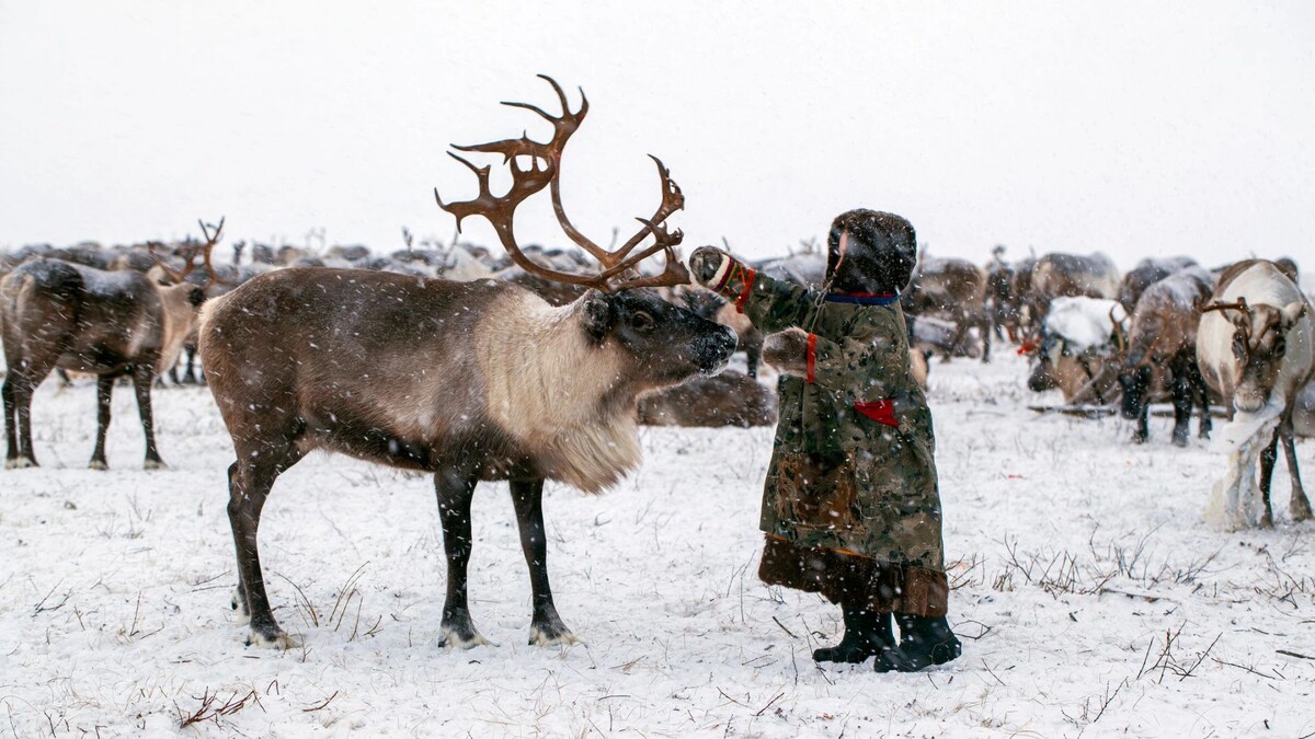    Фото: evgenii mitroshin/Shutterstock/Fotodom