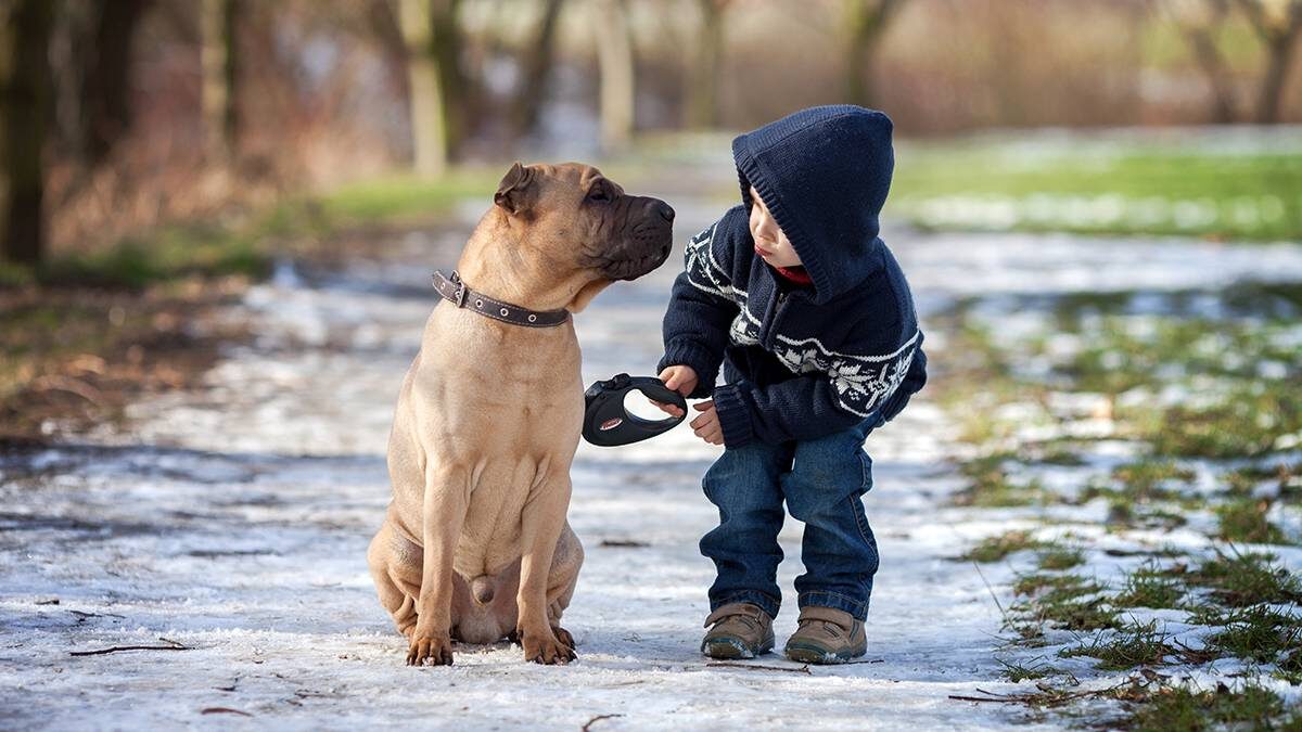    Фото: shutterstock