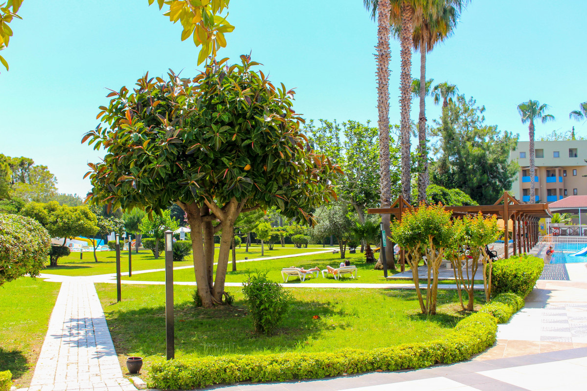 Источник: https://static.tourvisor.ru/hotel_pics/verybig/4/ally-hotel-side-1026012810.jpg