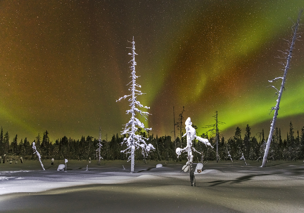 Вот так оно только начиналось.