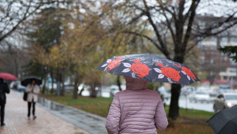      Фото: Валерия Алтухова / / ИА «Победа26»