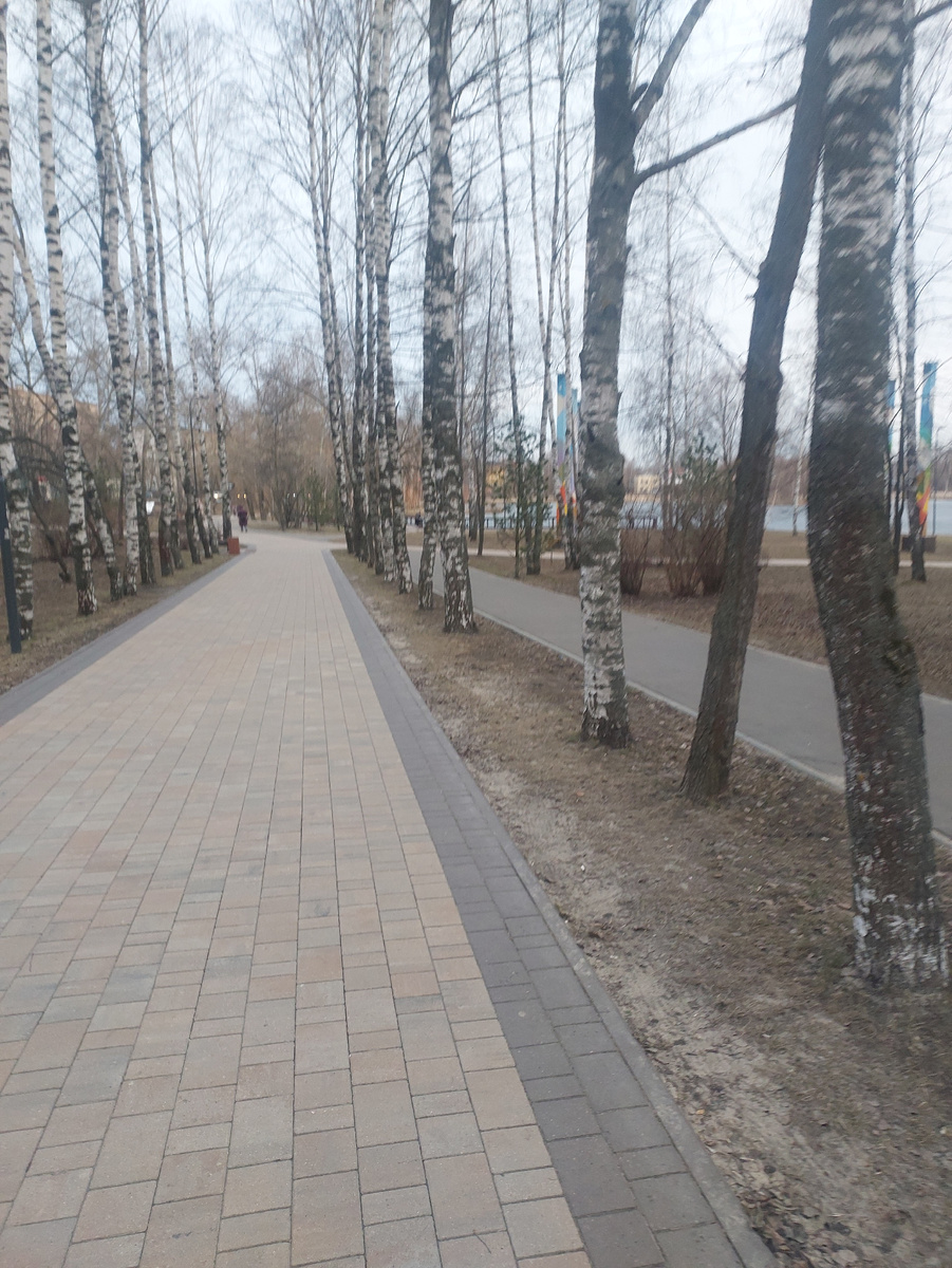 Светлоярский парк