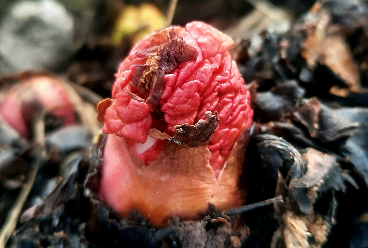 Фото автора. 