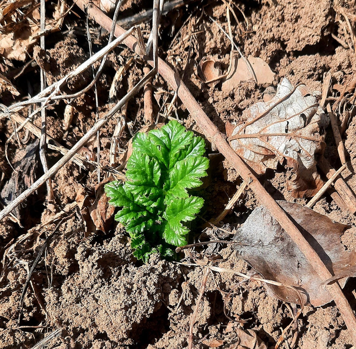 Фото автора.