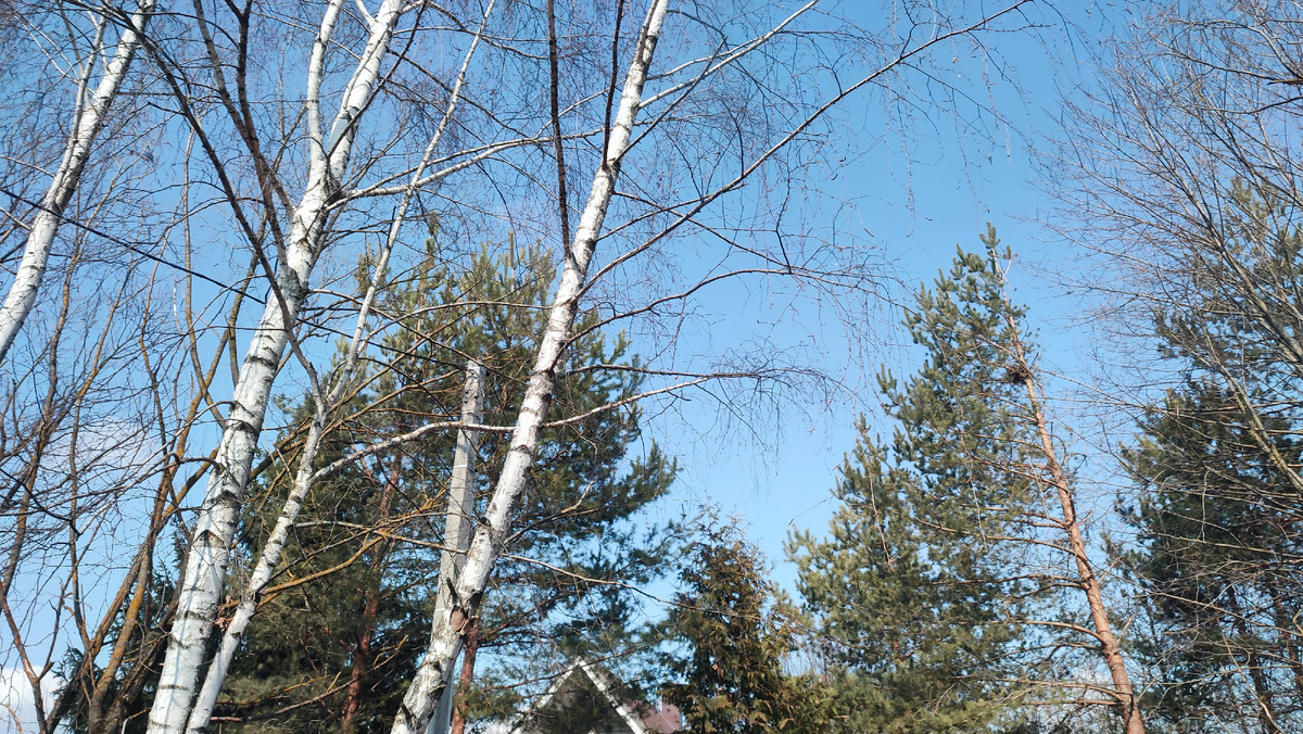 Голубое небо, погода улучшается