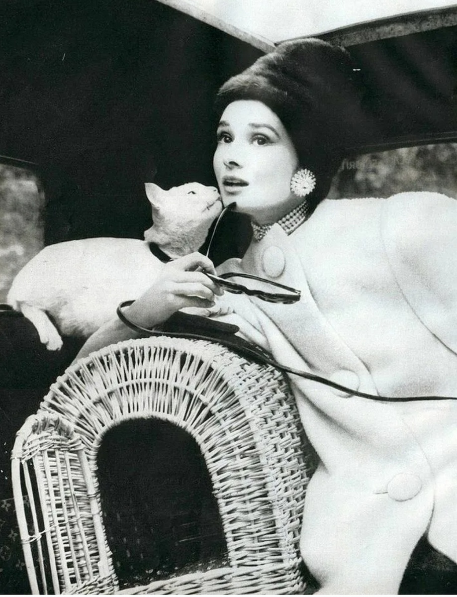 Фото из открытого источника интернета.