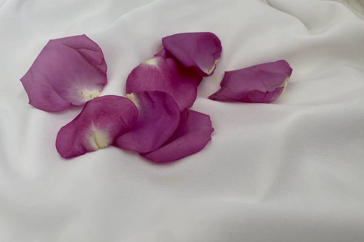 Фото: UfaTime.ru