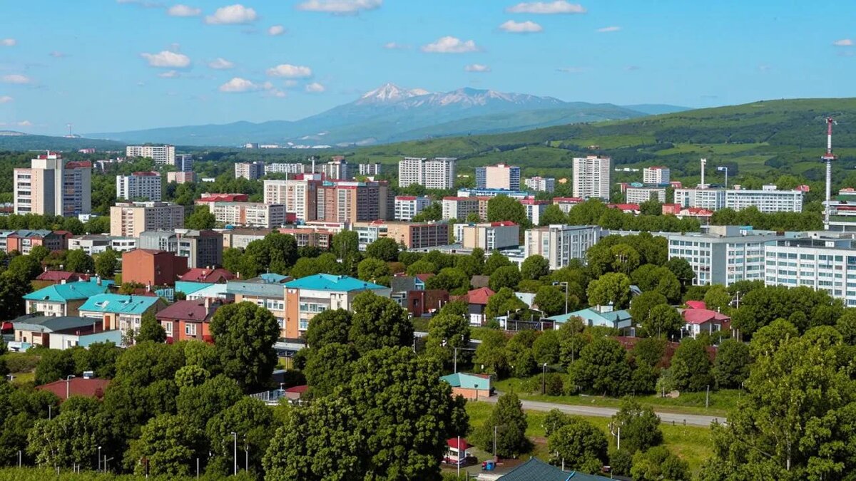    Сгенерировано ИИ