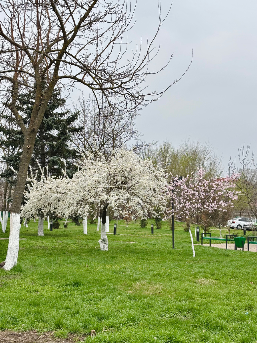 Новые Анены, Молдова