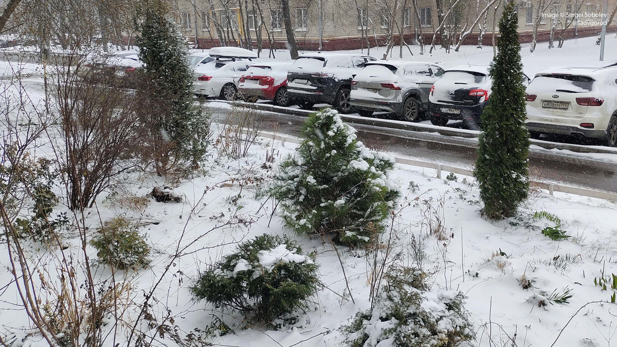 Зима, случившаяся в первой декаде апреля.