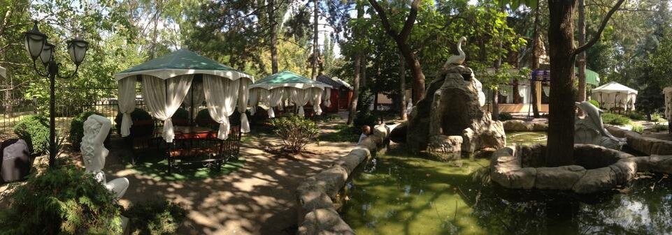 Фото из интернета.