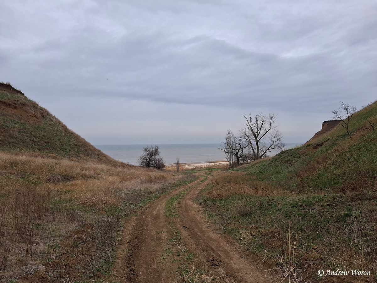 Спуск к берегу вдоль оврага