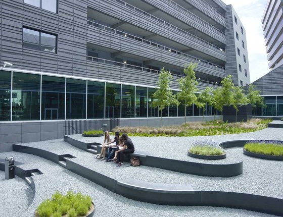 Зимний сад. Фото с интернета. 