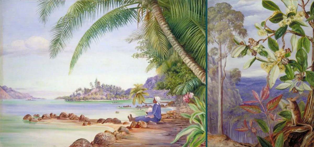 Художник Марианна Норт