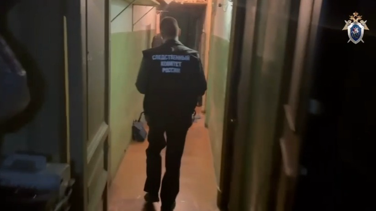    Фото: ГСУ СК России по Санкт-Петербургу / Telegram