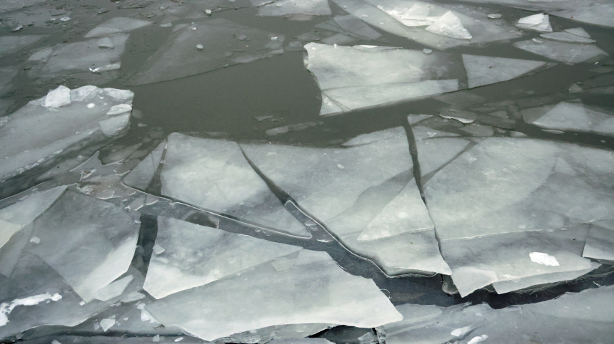    Фото: VCG/ТАСС