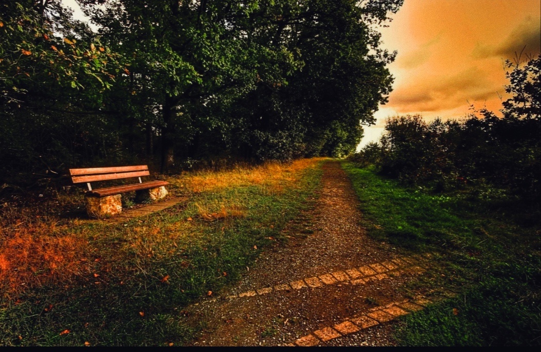 Фотоизображение взято из открытых интернет источников