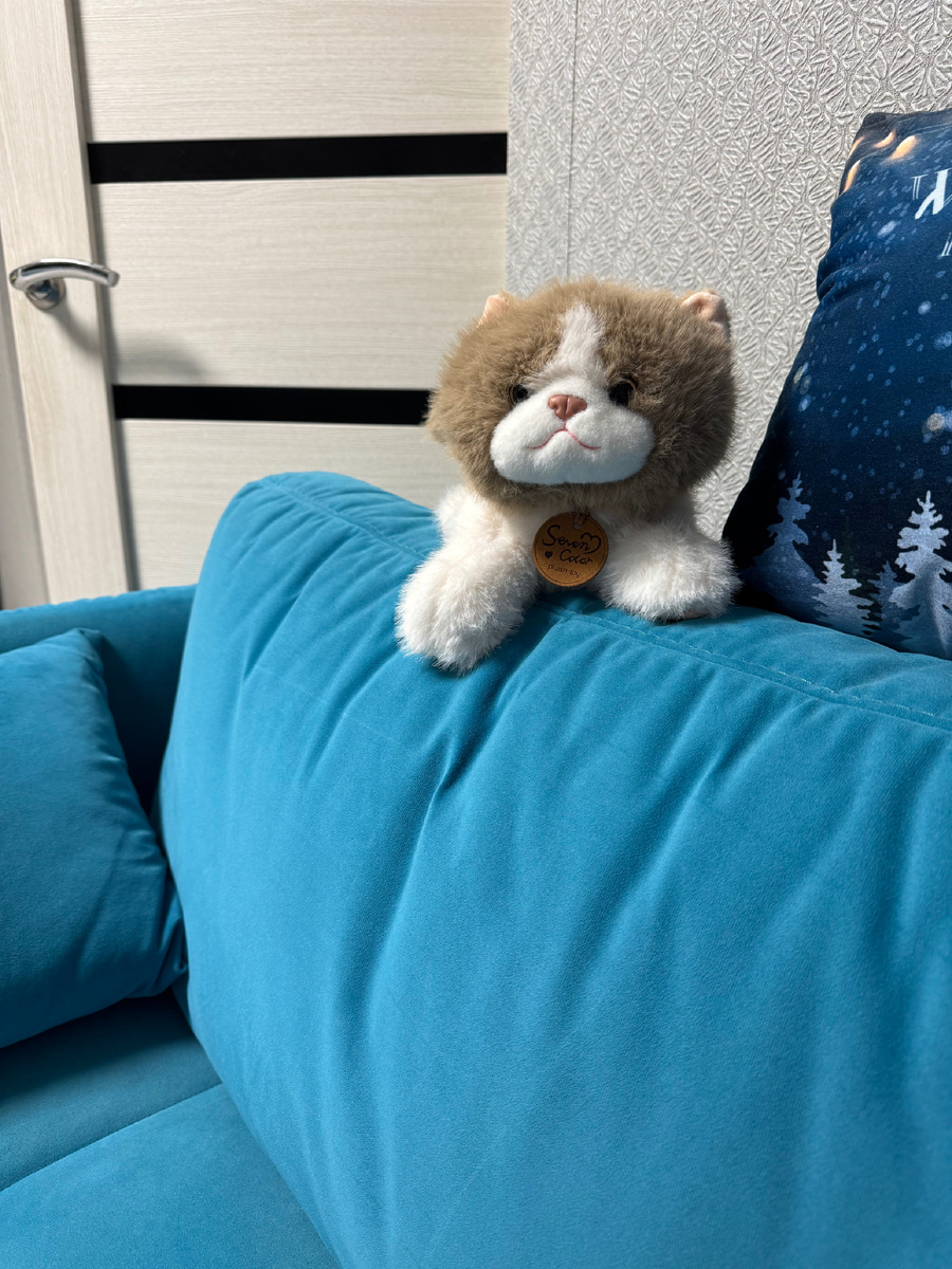 личное фото автора