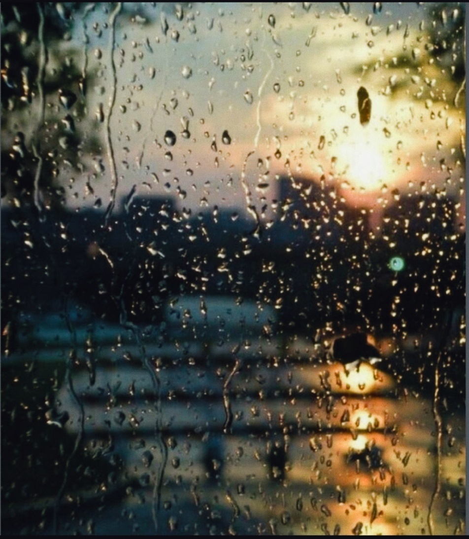 Фотоизображение взято из открытых интернет источников