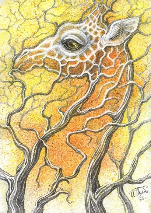 художник Илона Таубе