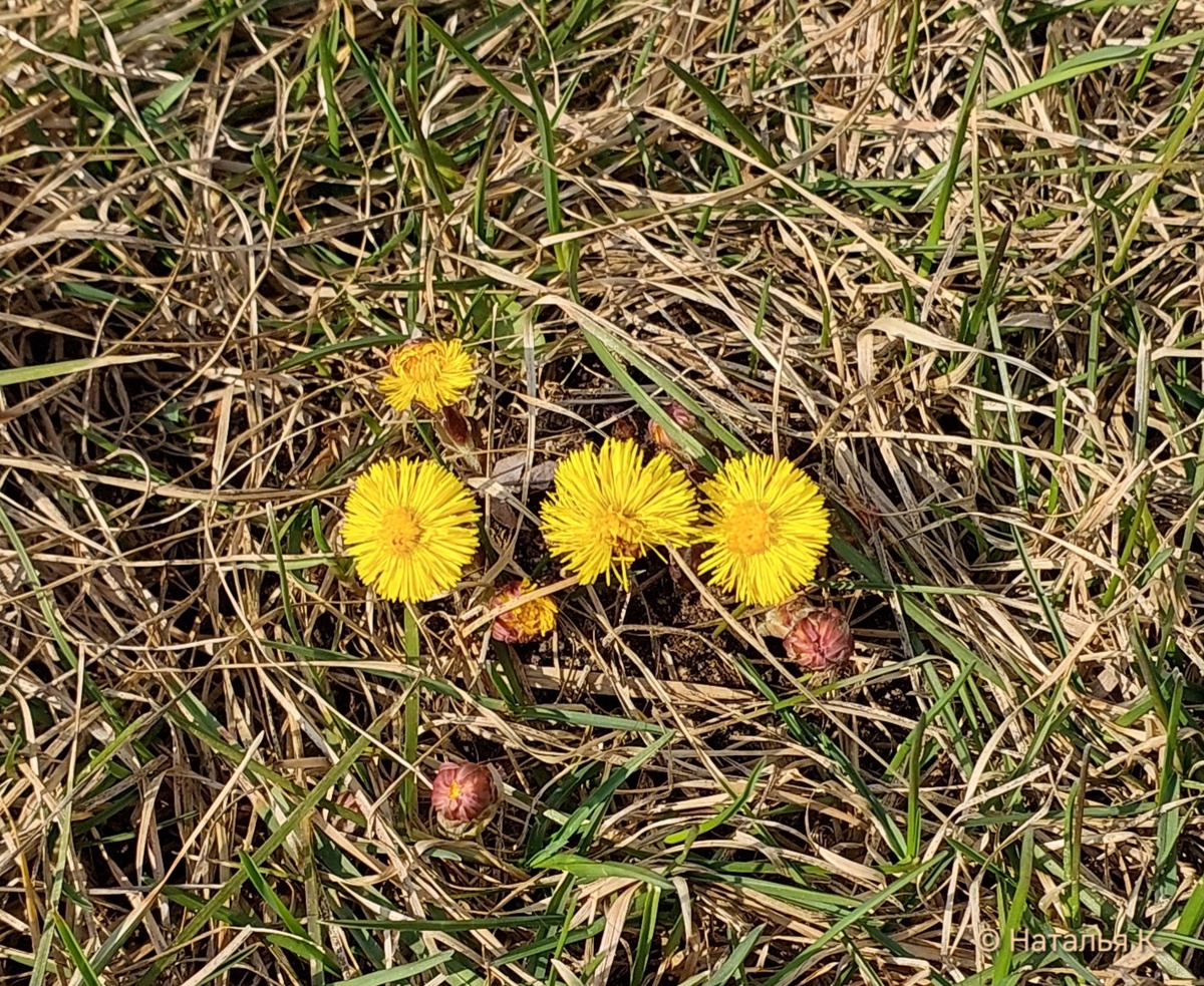 Фото автора канала