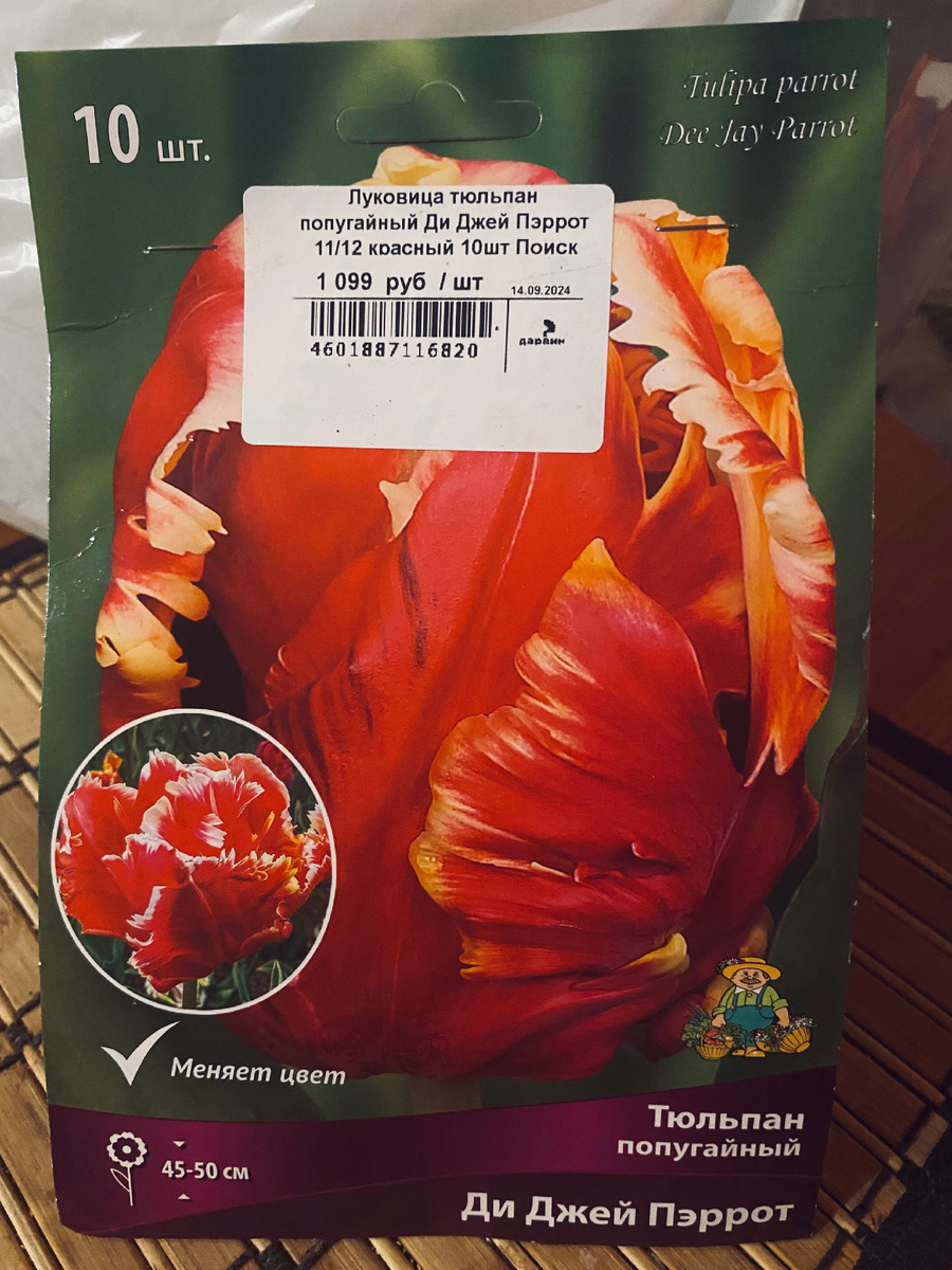 Луковицы этого тюльпана я посадила на клумбу с ирисами, взошли все! Везде фото автора.