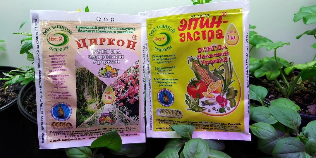 Эпин это не Циркон: разница препаратов и их умное использование