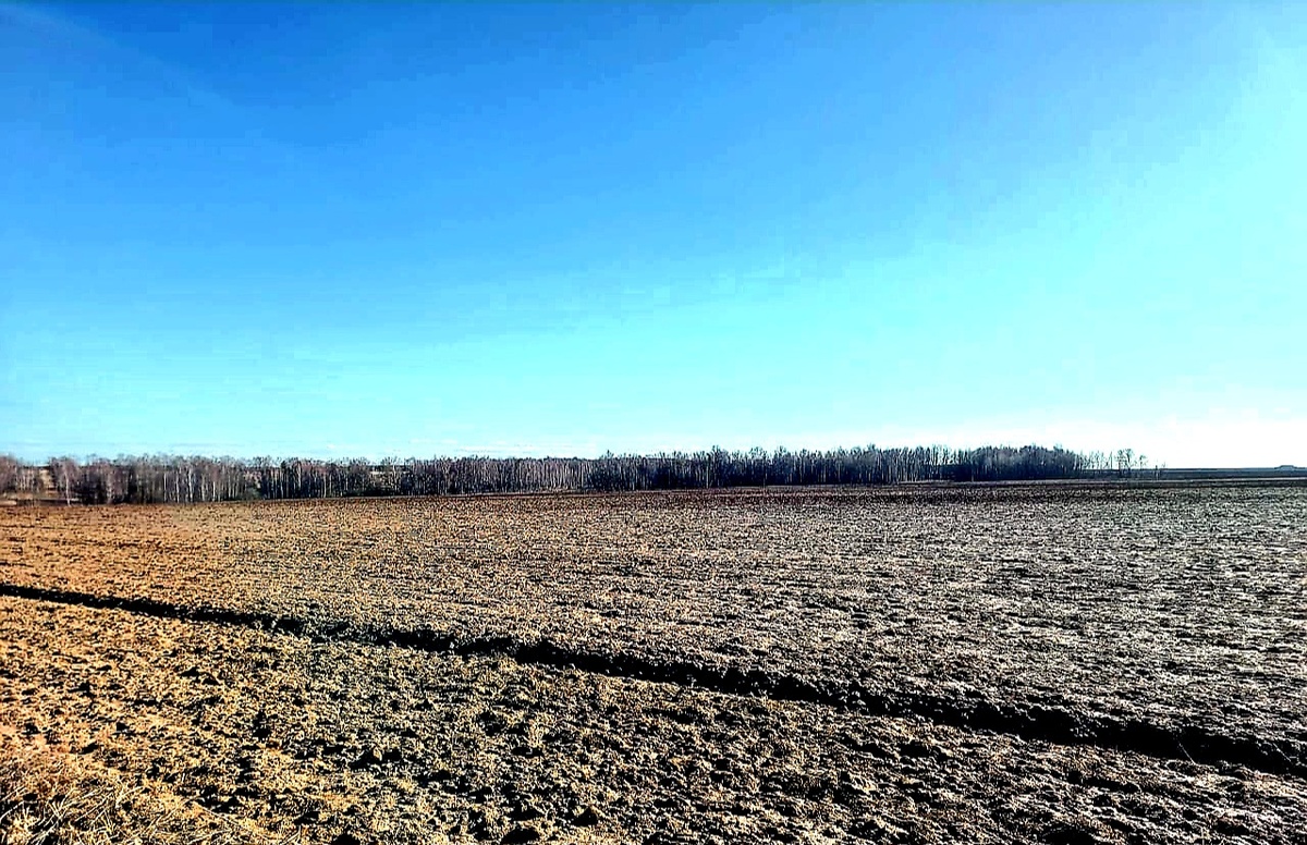 Март. Солнечные просторы