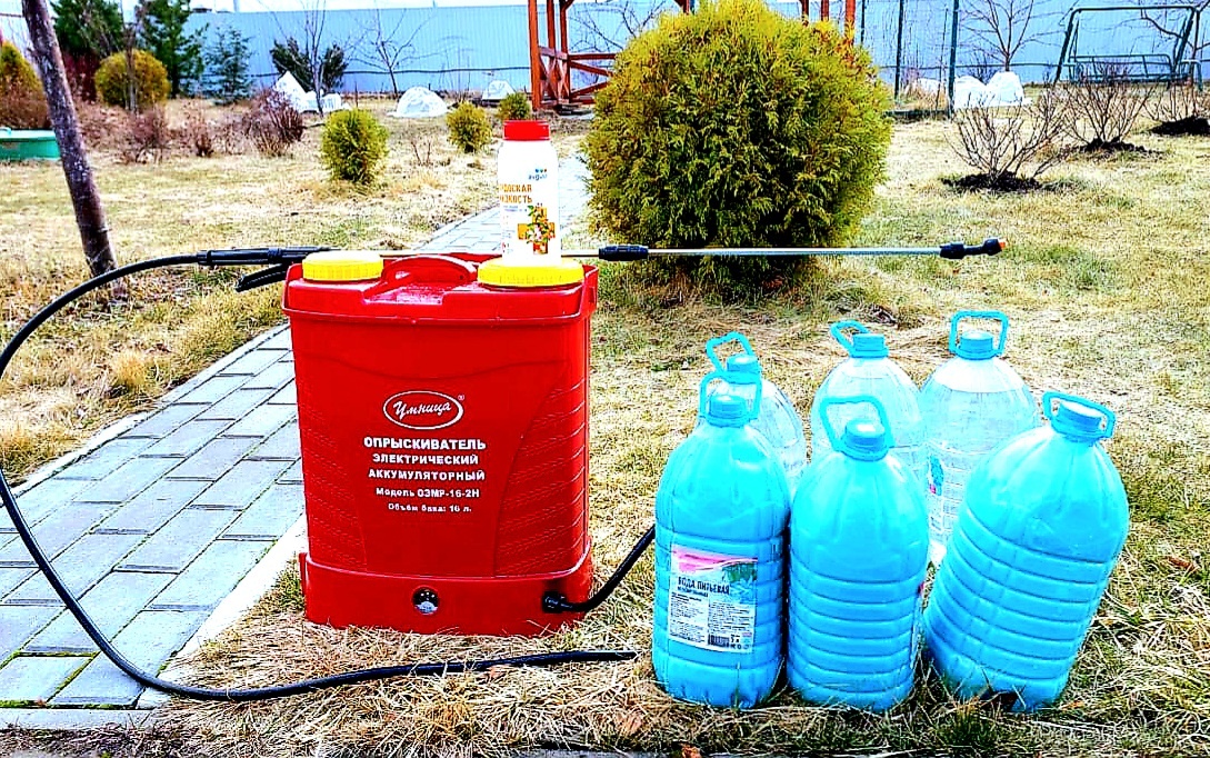 Весенняя обработка сада препаратом «Бордосская жидкость»