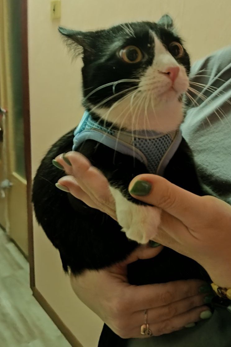 Что это на мне?