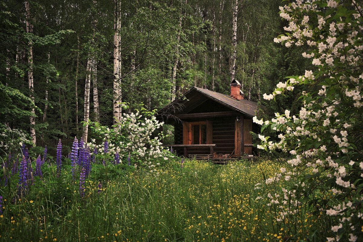 Изображение из открытых источников