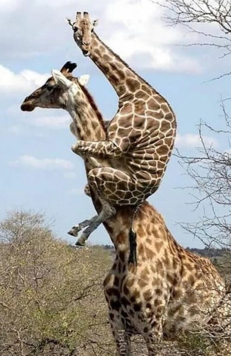 Фото из интернета