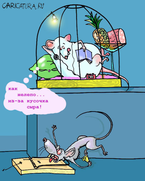 По ассоциации с...