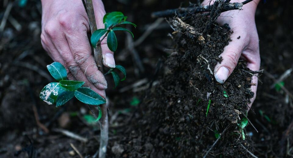    Yang Wenbin/XinHua / www.globallookpress.com
