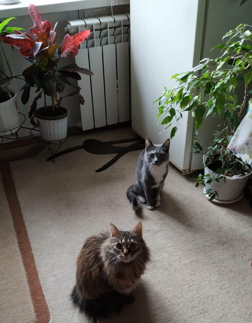 Ну и долго ещё ждать?