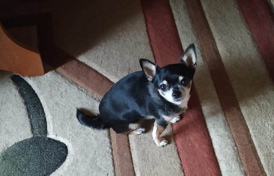 Ну дай хоть немножко