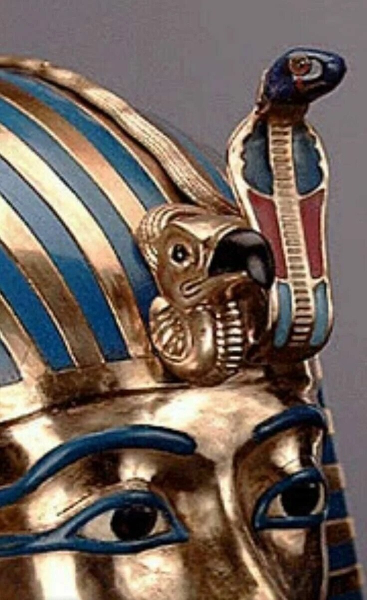 Из свободного доступа