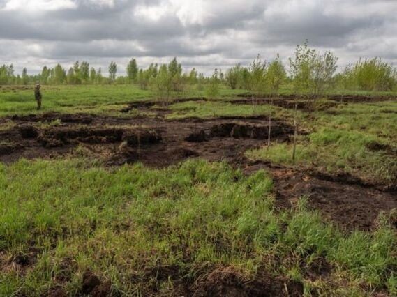 Торфяное болото и торфоразработки