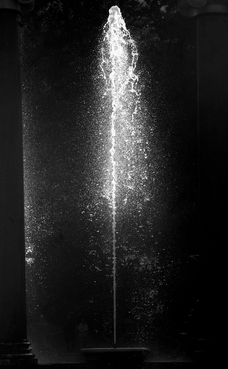 Все фото авторские. 