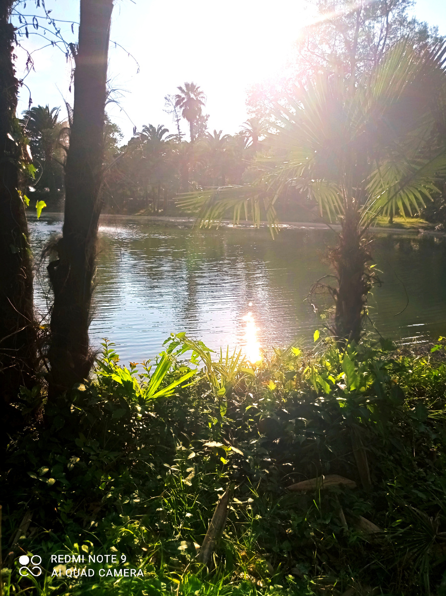 Парк у замка принца Ольденбуржского