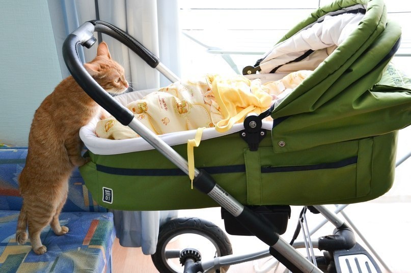 источник Яндекс-картинки