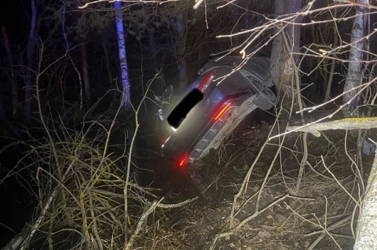    В Пензенской области перевернулась легковушка, погибли женщина и ребенок