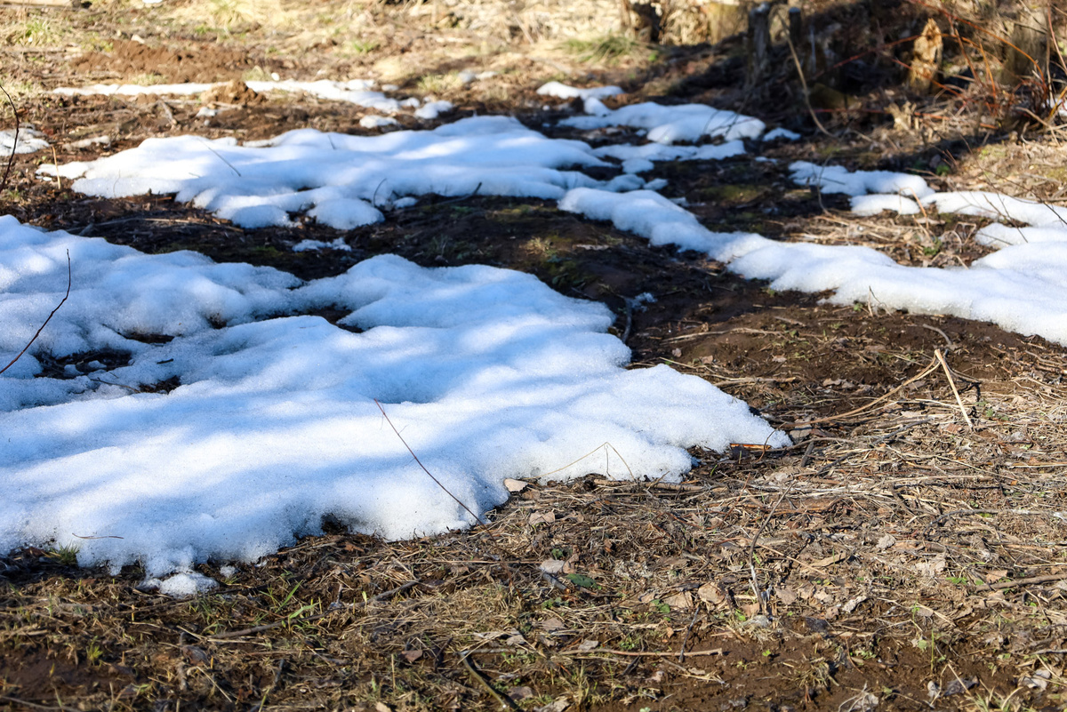 Значительных осадков не ожидается.  Фото: Фото: ФедералПресс / Елена Майорова