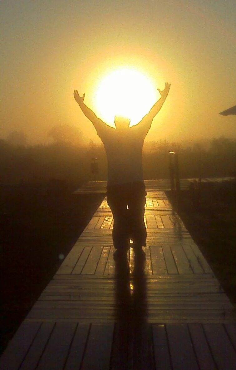 Яндекс Открытый источник 