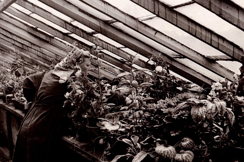 Архивное фото из интернета.