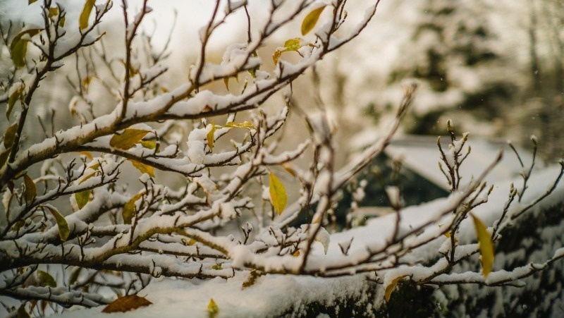 Фото: @EyeEm / freepik.com