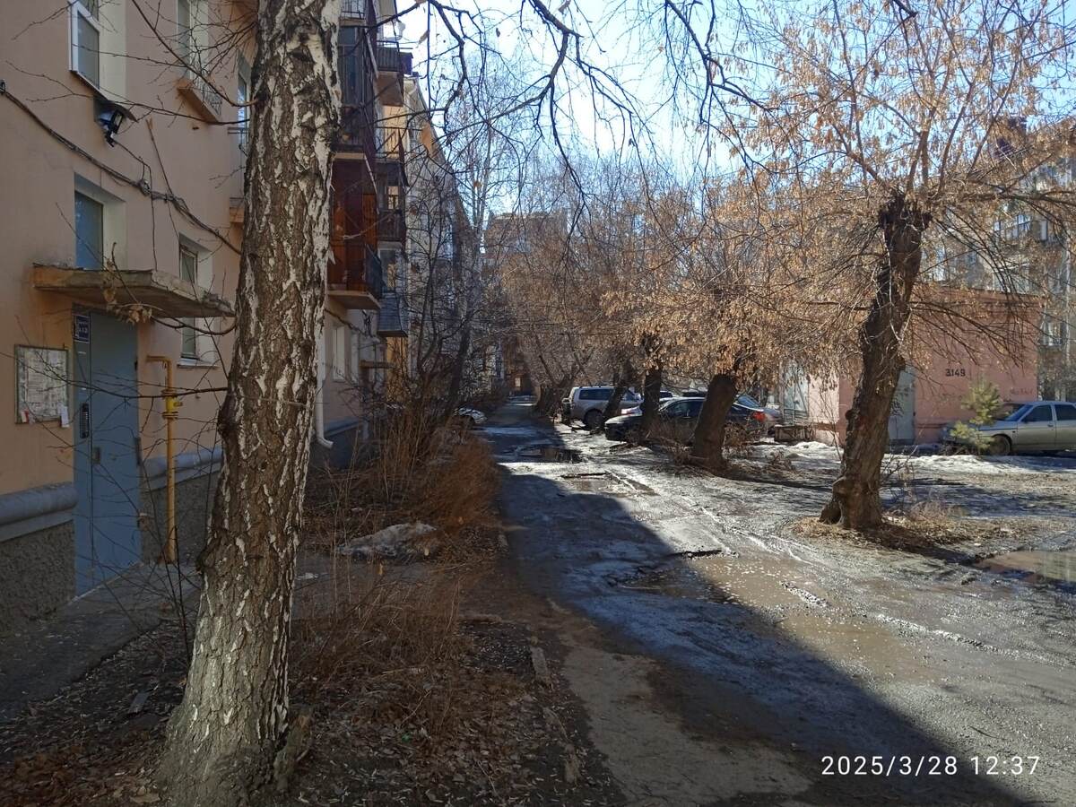 г.Омск  пр.Карла Маркса 46.   Фото не может передать всей запущенности дома и прилегающей территории.  ЯМЫ, заросли у подьезда, пни-переростки, грязь и мусор., надписи на доме. 