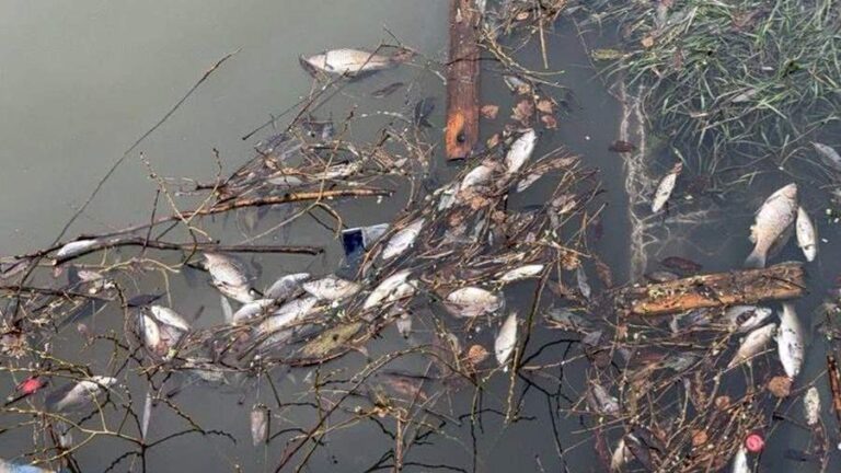    Фото: Прокуратура Москвы Анфиса Слепцова